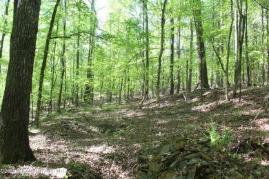 Rare Development Opportunity in StillWaters - 10 Acres | 7 on Stillwaters Golf and Country Club in Alabama - for sale on GolfHomes.com, golf home, golf lot