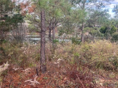 Great lot to build dream home on a lake, conveniently located 10 on  in Alabama - for sale on GolfHomes.com, golf home, golf lot
