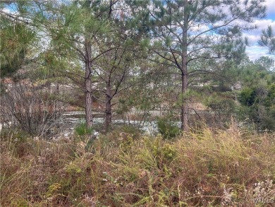 Great lot to build dream home on a lake, conveniently located 10 on  in Alabama - for sale on GolfHomes.com, golf home, golf lot