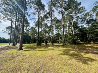 Gorgeous Golf Course Homesite in Cooper's Point!! Perfect for on Sapelo Hammock Golf Club in Georgia - for sale on GolfHomes.com, golf home, golf lot