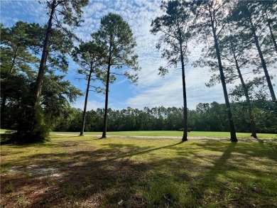 Gorgeous Golf Course Homesite in Cooper's Point!! Perfect for on Sapelo Hammock Golf Club in Georgia - for sale on GolfHomes.com, golf home, golf lot