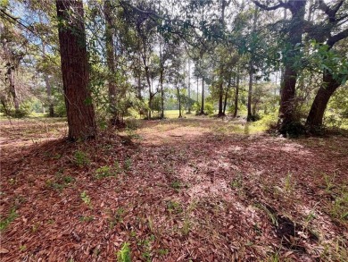 Gorgeous Golf Course Homesite in Cooper's Point!! Perfect for on Sapelo Hammock Golf Club in Georgia - for sale on GolfHomes.com, golf home, golf lot