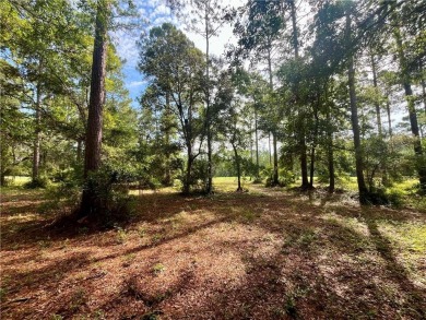Gorgeous Golf Course Homesite in Cooper's Point!! Perfect for on Sapelo Hammock Golf Club in Georgia - for sale on GolfHomes.com, golf home, golf lot