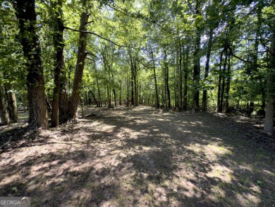 A Rare Opportunity in Traditions of Braselton! Build your on Traditions of Braselton Golf Club in Georgia - for sale on GolfHomes.com, golf home, golf lot