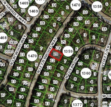 Buildable homesite in Citrus Springs offering an outstanding on Citrus Springs Country Club in Florida - for sale on GolfHomes.com, golf home, golf lot