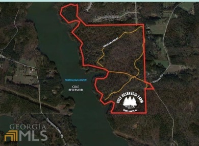 Cole Reservoir Farm is 205.73 acres off of Hunter Road in Henry on Canongate At Heron Bay in Georgia - for sale on GolfHomes.com, golf home, golf lot