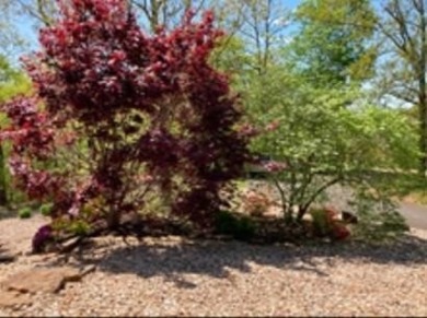 Welcome Home!  New: (2021) HVAC, (2019) Roof, (2018) Kitchen on Bella Vista - Metfield Golf Complex and Country Club in Arkansas - for sale on GolfHomes.com, golf home, golf lot