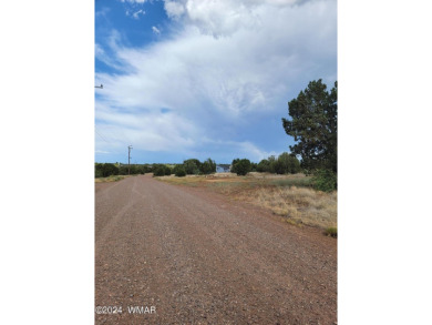 This serene1/2 acre lot is ideal for your dream mountain/lake on Silver Creek Golf Club in Arizona - for sale on GolfHomes.com, golf home, golf lot