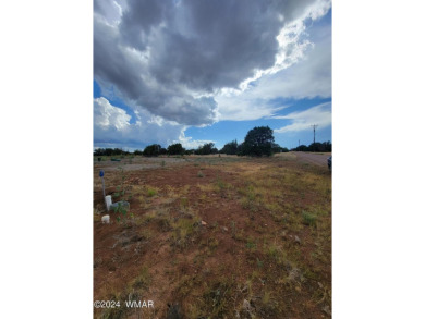 This serene1/2 acre lot is ideal for your dream mountain/lake on Silver Creek Golf Club in Arizona - for sale on GolfHomes.com, golf home, golf lot