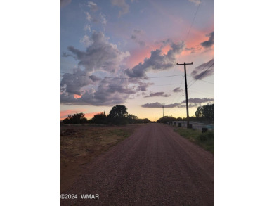 This serene1/2 acre lot is ideal for your dream mountain/lake on Silver Creek Golf Club in Arizona - for sale on GolfHomes.com, golf home, golf lot