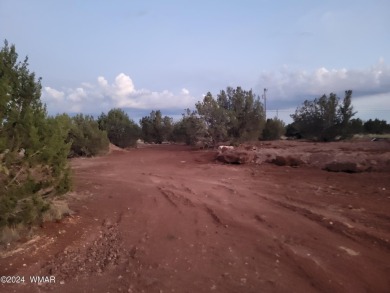 This serene1/2 acre lot is ideal for your dream mountain/lake on Silver Creek Golf Club in Arizona - for sale on GolfHomes.com, golf home, golf lot