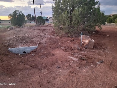 This serene1/2 acre lot is ideal for your dream mountain/lake on Silver Creek Golf Club in Arizona - for sale on GolfHomes.com, golf home, golf lot