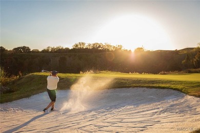 Brand-new spec home coming Summer 2026 in the Black Diamond on Black Diamond Ranch Golf Course in Florida - for sale on GolfHomes.com, golf home, golf lot