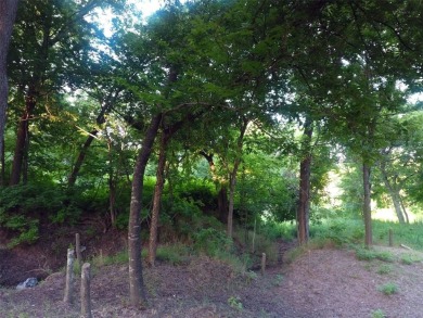 Have you been looking for that perfectly unique lot with river on Pecan Plantation Country Club in Texas - for sale on GolfHomes.com, golf home, golf lot