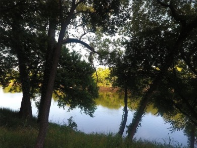 Have you been looking for that perfectly unique lot with river on Pecan Plantation Country Club in Texas - for sale on GolfHomes.com, golf home, golf lot