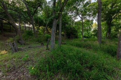 Have you been looking for that perfectly unique lot with river on Pecan Plantation Country Club in Texas - for sale on GolfHomes.com, golf home, golf lot
