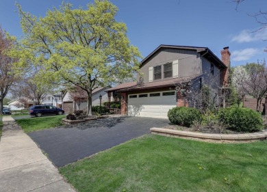 Feel the love in this beautifully maintained tri-level home on Apple Orchard Golf Course in Illinois - for sale on GolfHomes.com, golf home, golf lot