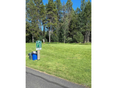 Gorgeous building lot that backs to Cedar #1 Tee Box and Driving on McCall Municipal Golf Course in Idaho - for sale on GolfHomes.com, golf home, golf lot