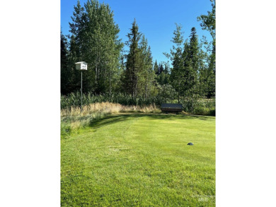 Gorgeous building lot that backs to Cedar #1 Tee Box and Driving on McCall Municipal Golf Course in Idaho - for sale on GolfHomes.com, golf home, golf lot