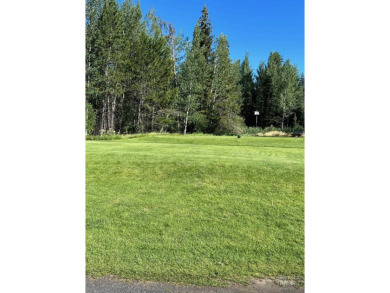 Gorgeous building lot that backs to Cedar #1 Tee Box and Driving on McCall Municipal Golf Course in Idaho - for sale on GolfHomes.com, golf home, golf lot