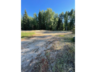 Gorgeous building lot that backs to Cedar #1 Tee Box and Driving on McCall Municipal Golf Course in Idaho - for sale on GolfHomes.com, golf home, golf lot