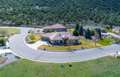 Absolutely beautiful, quality built home in prestigious on Cedaredge Golf Course in Colorado - for sale on GolfHomes.com, golf home, golf lot