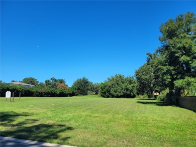 Welcome to Chaine Du Lac- one of Windermere's most exclusive on Windermere Country Club in Florida - for sale on GolfHomes.com, golf home, golf lot