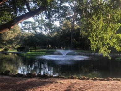 Priced to SELL.  This beautiful home is in the Premiere 55+ on On Top of the World Golf Course in Florida - for sale on GolfHomes.com, golf home, golf lot