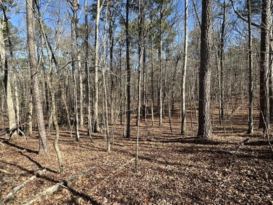 Great Residential Lot in the Monticello section of the Savannah on Monticello Golf Club At Savannah Lakes in South Carolina - for sale on GolfHomes.com, golf home, golf lot