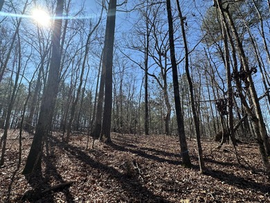 Great Residential Lot in the Monticello section of the Savannah on Monticello Golf Club At Savannah Lakes in South Carolina - for sale on GolfHomes.com, golf home, golf lot