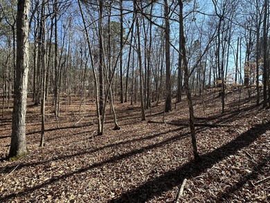 Great Residential Lot in the Monticello section of the Savannah on Monticello Golf Club At Savannah Lakes in South Carolina - for sale on GolfHomes.com, golf home, golf lot