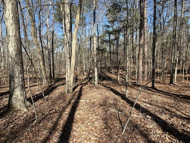 Great Residential Lot in the Monticello section of the Savannah on Monticello Golf Club At Savannah Lakes in South Carolina - for sale on GolfHomes.com, golf home, golf lot