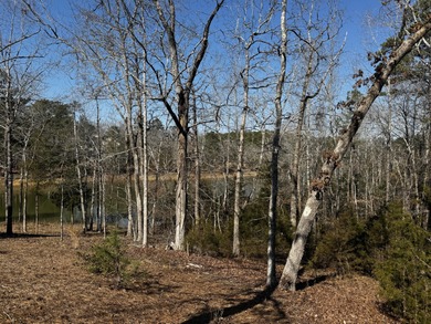 Building a home from the ground up starts with finding the on Monticello Golf Club At Savannah Lakes in South Carolina - for sale on GolfHomes.com, golf home, golf lot