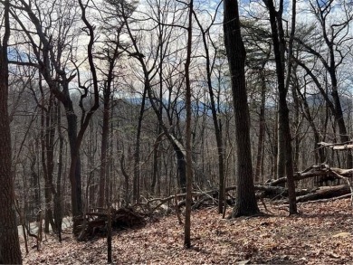 This 1.21 acre lot is located on a cul-de-sac across the road on Bent Tree Golf Course in Georgia - for sale on GolfHomes.com, golf home, golf lot
