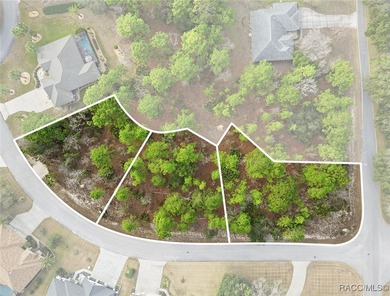 Imagine the possibilities with this rare 1 Acre assembly in the on Sugarmill Woods Golf and Country Club in Florida - for sale on GolfHomes.com, golf home, golf lot