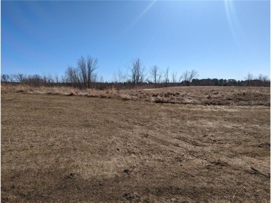 Build your dream home here! This lot is right near Geneva Golf on Geneva Golf Club in Minnesota - for sale on GolfHomes.com, golf home, golf lot