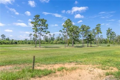 Must see this just completed new construction home situated on on The National Golf Club of Louisiana in Louisiana - for sale on GolfHomes.com, golf home, golf lot