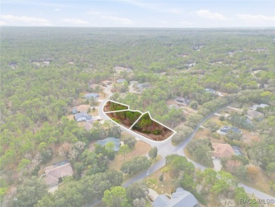 Imagine the possibilities with this rare 1 Acre assembly in the on Sugarmill Woods Golf and Country Club in Florida - for sale on GolfHomes.com, golf home, golf lot