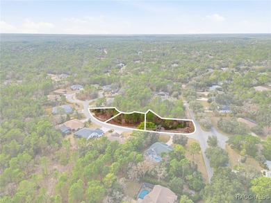 Imagine the possibilities with this rare 1 Acre assembly in the on Sugarmill Woods Golf and Country Club in Florida - for sale on GolfHomes.com, golf home, golf lot