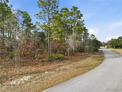 Imagine the possibilities with this rare 1 Acre assembly in the on Sugarmill Woods Golf and Country Club in Florida - for sale on GolfHomes.com, golf home, golf lot