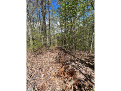 Large lot with great building site and beautiful views of the on Chatuge Shores Golf Course in North Carolina - for sale on GolfHomes.com, golf home, golf lot