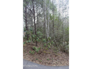 **Rustic Chalet in the Beautiful Mountains - A Golfer's & on Bent Creek Golf Course in Tennessee - for sale on GolfHomes.com, golf home, golf lot
