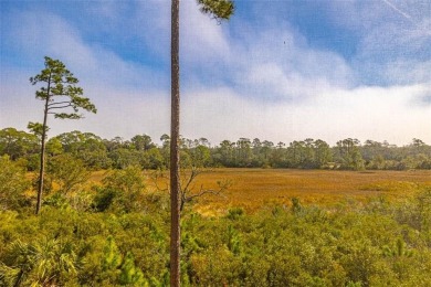 Begin your day sipping coffee as the sun rises, casting a warm on Jekyll Island Golf Club in Georgia - for sale on GolfHomes.com, golf home, golf lot