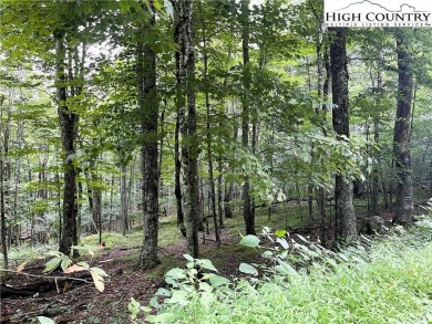 A rarity, a gentle lying lot on Beech and at a great pricee take on Beech Mountain Club in North Carolina - for sale on GolfHomes.com, golf home, golf lot