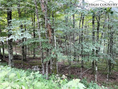 A rarity, a gentle lying lot on Beech and at a great pricee take on Beech Mountain Club in North Carolina - for sale on GolfHomes.com, golf home, golf lot