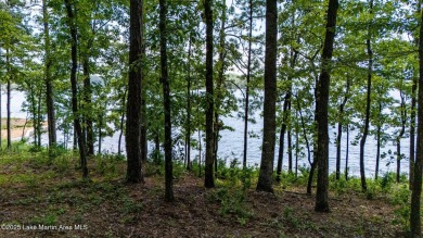 Beautiful lot inside Lake Martin's Newest luxury residential on  in Alabama - for sale on GolfHomes.com, golf home, golf lot