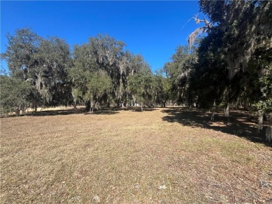 Beautiful Homesite on the golf course in Sutherland Bluff! on Sapelo Hammock Golf Club in Georgia - for sale on GolfHomes.com, golf home, golf lot