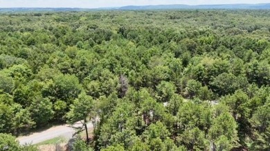 Amazing opportunity to build your dream house by Greers Ferry on Tannenbaum Golf Club in Arkansas - for sale on GolfHomes.com, golf home, golf lot