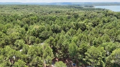 Amazing opportunity to build your dream house by Greers Ferry on Tannenbaum Golf Club in Arkansas - for sale on GolfHomes.com, golf home, golf lot