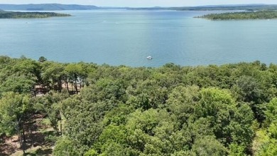 Amazing opportunity to build your dream house by Greers Ferry on Tannenbaum Golf Club in Arkansas - for sale on GolfHomes.com, golf home, golf lot